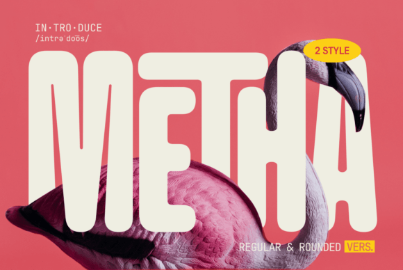 Choosing Metha for a Lifestyle Blog Redesign