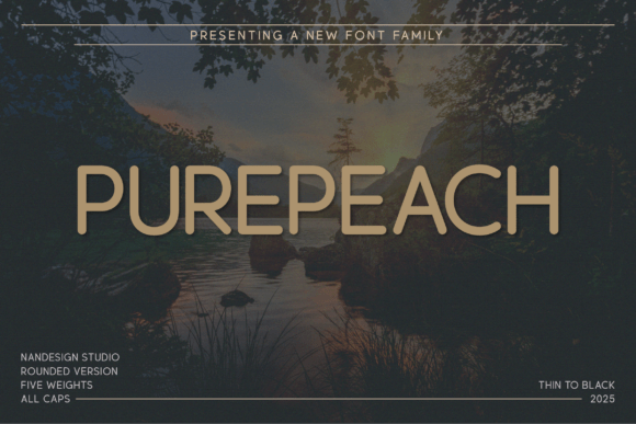 Purepeach Rounded for Web Design